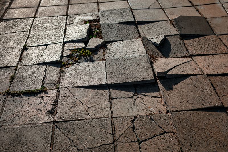 Paver Repair Service
