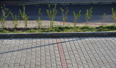 Prevention of Further Damage